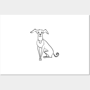 Sketch Funny dog Italian Greyhound Posters and Art